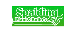 Bakker Spalding Promo Codes for