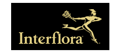 Interflora Promo Codes for